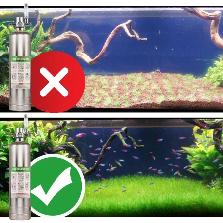 Green Bubbles CO2 Generator - zestaw CO2 z elektrozaworem-1906390