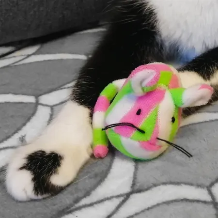 HappyPet Candy Stripe Mice - myszka dla kota-1906900