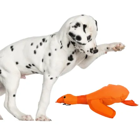 HappyPet Dazzle Ducks - piszcząca kaczka-1906947