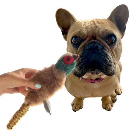 HappyPet Migrator Pheasant - maskotka bażant-1907142