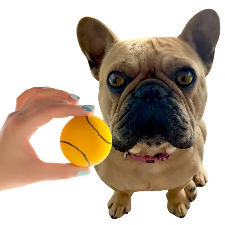 HappyPet Sports Balls - sprężysta piłka-1907202