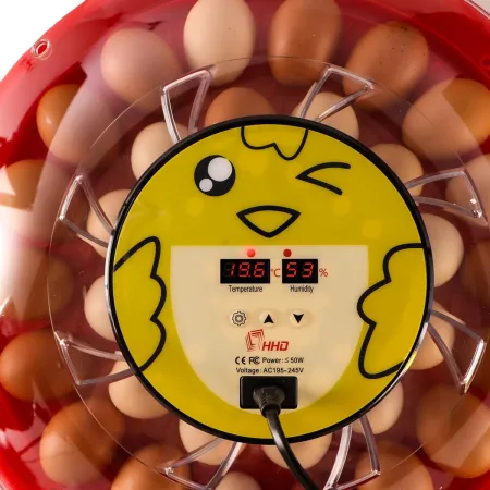 HFM Brüterei Thermo 30 - inkubator z termostatem na 30 jaj-1907271