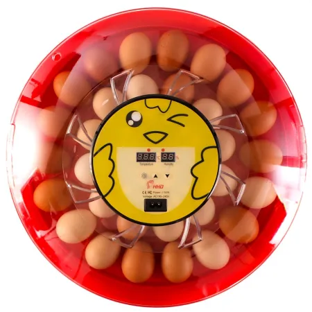 HFM Brüterei Thermo 30 - inkubator z termostatem na 30 jaj-1907274