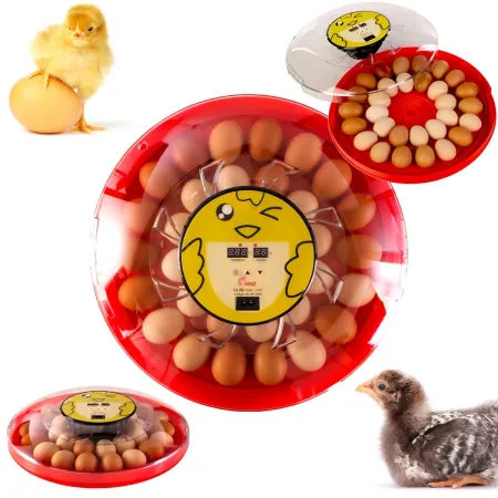 HFM Brüterei Thermo 30 - inkubator z termostatem na 30 jaj-1907278