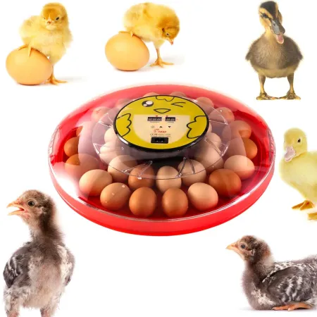 HFM Brüterei Thermo 30 - inkubator z termostatem na 30 jaj-1907282