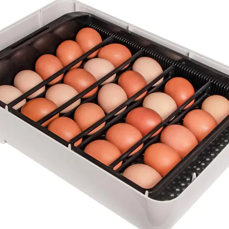 Janoel 24S - inkubator z termostatem i automatycznym obracaniem jaj-1907838