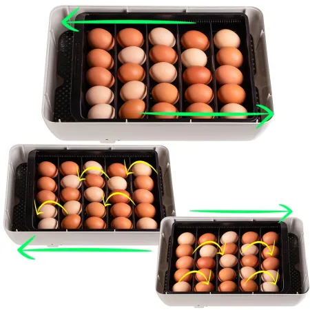 Janoel 24S - inkubator z termostatem i automatycznym obracaniem jaj-1907840