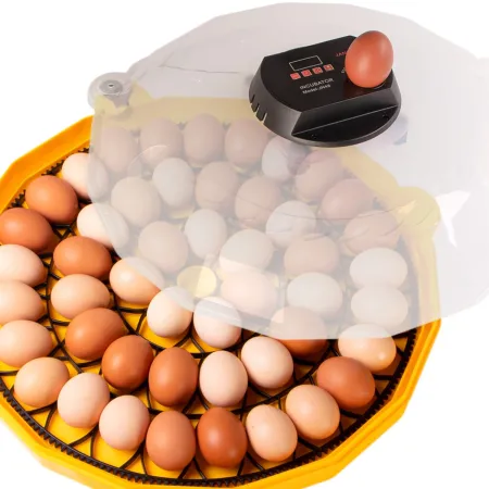 Janoel N48 - inkubator z termostatem i automatycznym obracaniem-1907848