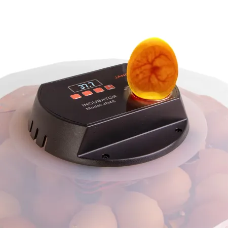 Janoel N48 - inkubator z termostatem i automatycznym obracaniem-1907853