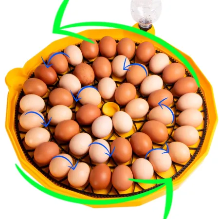 Janoel N48 - inkubator z termostatem i automatycznym obracaniem-1907854