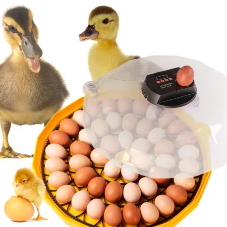 Janoel N48 - inkubator z termostatem i automatycznym obracaniem-1907856