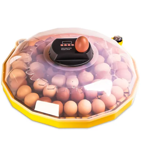 Janoel N48 - inkubator z termostatem i automatycznym obracaniem-1907857