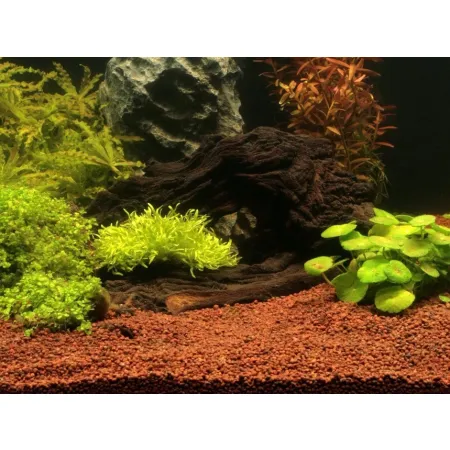 JBL Manado 10l-1908107