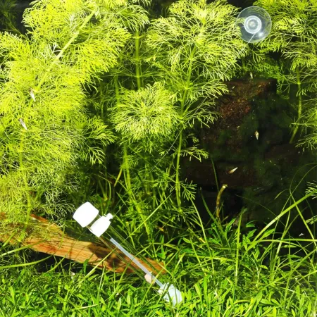 JBL PlaCollect - pułapka na płazińce-1908177