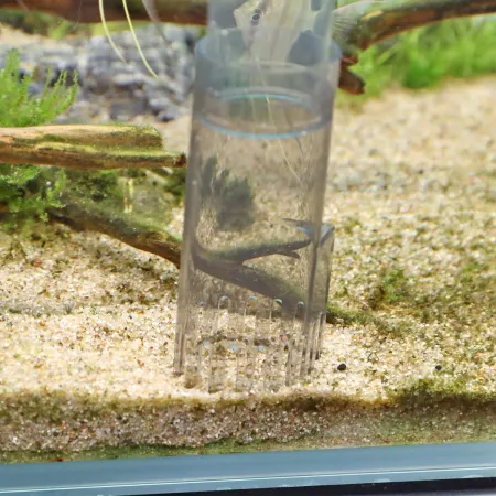 JBL Proclean Aqua IN-OUT - automatyczny odmulacz z pompą-1908194