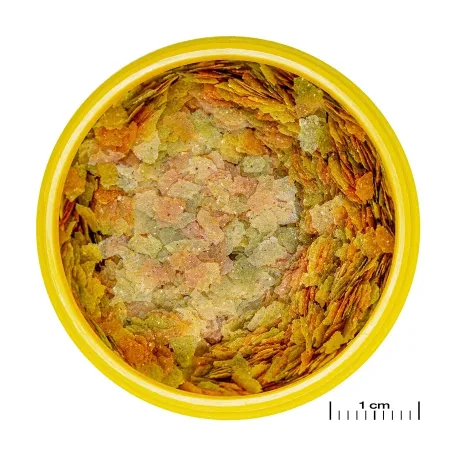 JBL Pronovo Betta Flakes S 20ml - pokarm dla bojowników w płatkach-1908252