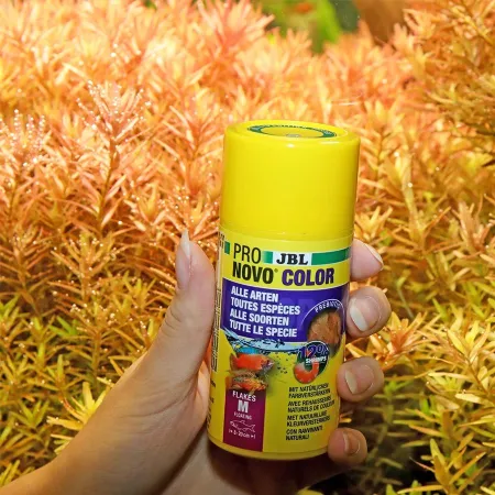 JBL Pronovo Color Flakes M 250ml - pokarm w płatkach wzmacniający kolory ryb-1908268