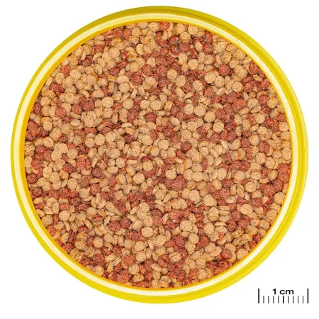 JBL Pronovo Color Grano M 250ml - pokarm w granulacie wzmacniający kolory ryb-1908270