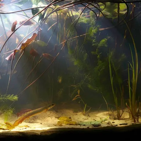 Jebao EL1-3 - trzy punktowe lampy LED wodoodporne-1908709