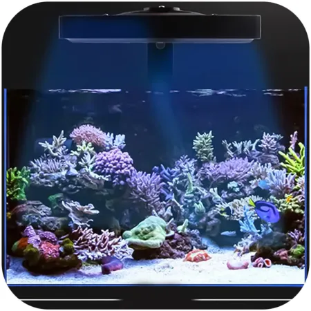 Jebao Smart Marine Light ML-60 - lampa do akwarium morskiego-1909046