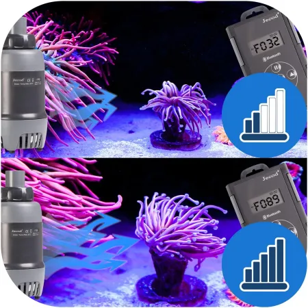 Jecod DXP-2500 - pompa obiegowa z Bluetooth-1909221