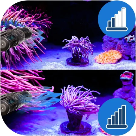 Jecod ECP-120 - pompa cyrkulacyjna 13000l/h-1909267