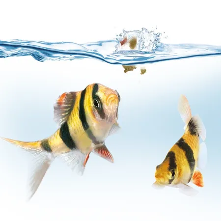 Juwel EasyFeed - karmnik automatyczny-1909737