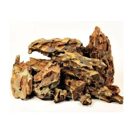 Kamienie Dragon Stone-1909753