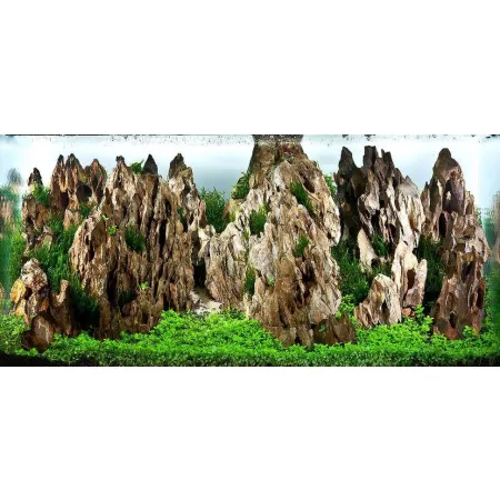 Kamienie Dragon Stone-1909755