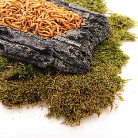 Komodo Bark Bowl L - miska w korze-1909911