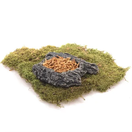 Komodo Bark Bowl S - miska w korze-1909933