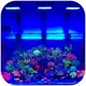 Chihiros NOVA 1 Marine LED - oświetlenie do akwarium morskiego-1902062