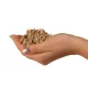 Eco Plant Natural River 1kg - żwir rzeczny 1-3mm-1902989