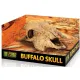 EXO TERRA Buffalo Skull (czaszka bawoła)