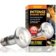 EXO TERRA Intense Basking Spot 50W (żarówka grzewcza)