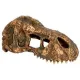 EXO TERRA T-Rex skull (czaszka dinozaura)-1903491
