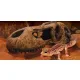 EXO TERRA T-Rex skull (czaszka dinozaura)-1903494