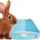 Furrever Friends Corner Toilet - kuweta narożna dla królików-1904238