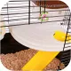 Furrever Friends Miku Elegant - klatka dla gryzoni kompletny zestaw-1904490