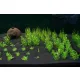 H.E.L.P Podłoże Advanced Soil Shrimps 3l-1906664