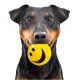HappyPet Smiley Ball - uśmiechnięta piłeczka