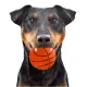 HappyPet Sports Balls - sprężysta piłka