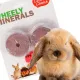 HappyPet Wheely Minerals - lizawki mineralne dla gryzoni-1907234