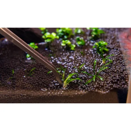 Komodo Feeding Tongs 25cm - pęseta do karmienia-1910087