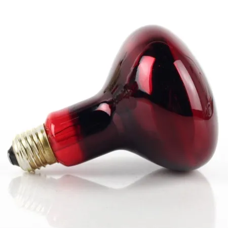 Komodo Infrared 100W - żarówka grzewcza podczerwona-1910180