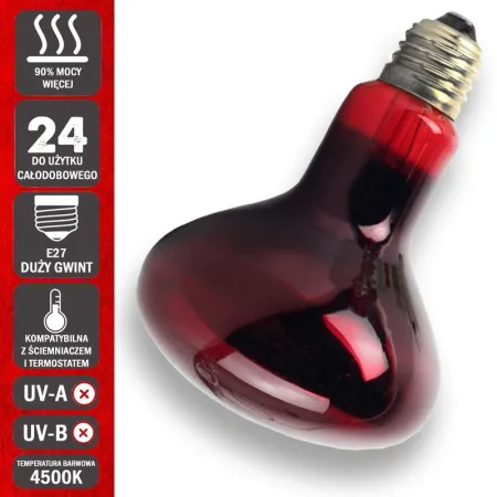 Komodo Infrared 75W - żarówka grzewcza podczerwona-1910194