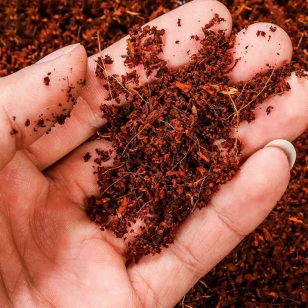 Komodo Rainforest Substrate 6l - podłoże tropikalne-1910338