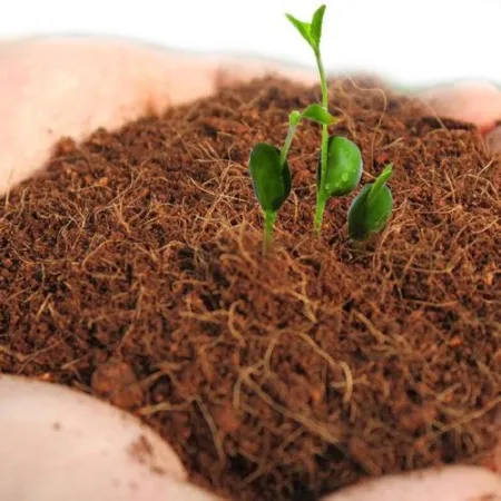 Komodo Tropical Terrain Brick L - podłoże z włókien kokosa 8l-1910467