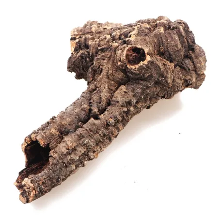 Kora z Dębu Korkowego - na wagę-1910485