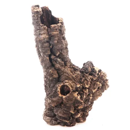 Kora z Dębu Korkowego - na wagę-1910489